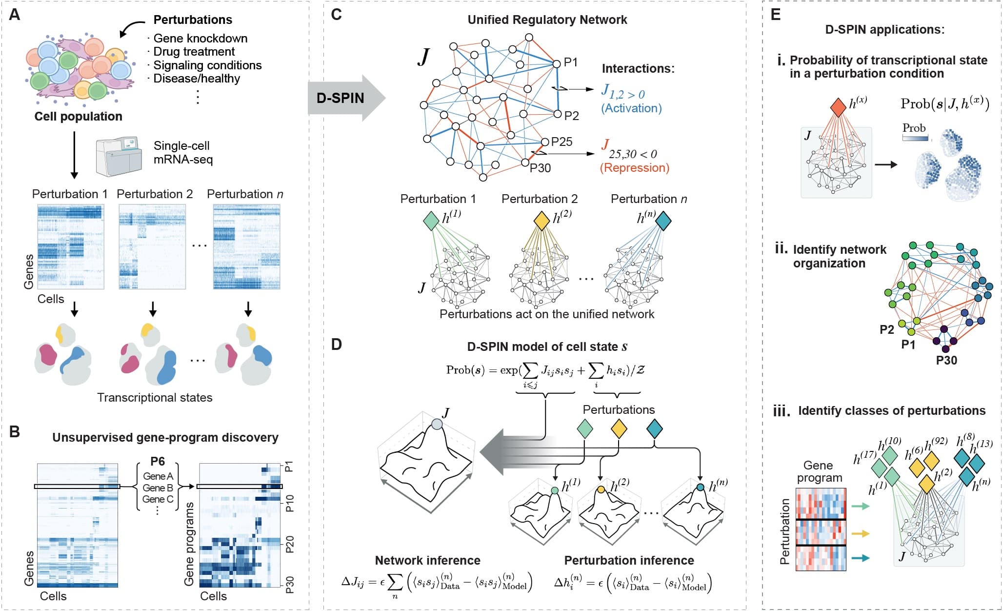 DSPIN: Python Package for Network Construction from scRNA-seq Data